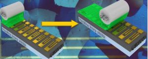 El proyecto GENESIS avanzará en el campo de la electrónica orgánica, que permite diseñar dispositivos flexibles, ligeros, biocompatibles, económicos y à la carte, usados en sensores altamente sensibles para diversas aplicaciones con alto impacto en nuestra sociedad, como el diagnóstico médico o la robótica.