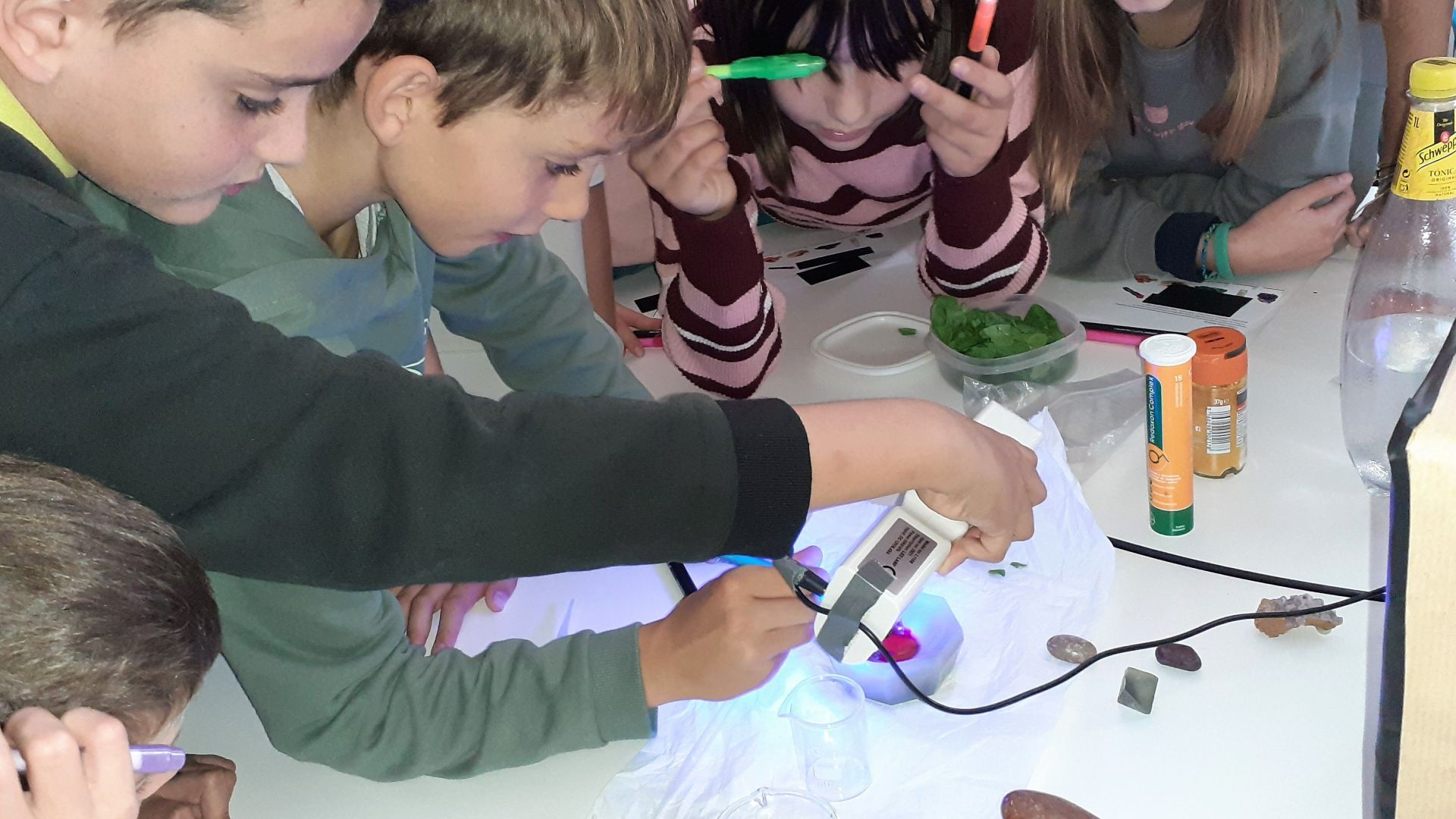 Escola Itaca for the Science Week 2022