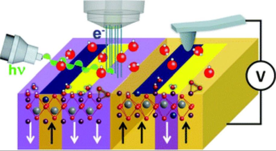 Surface charged species and electrochemistry of ferroelectric thin films