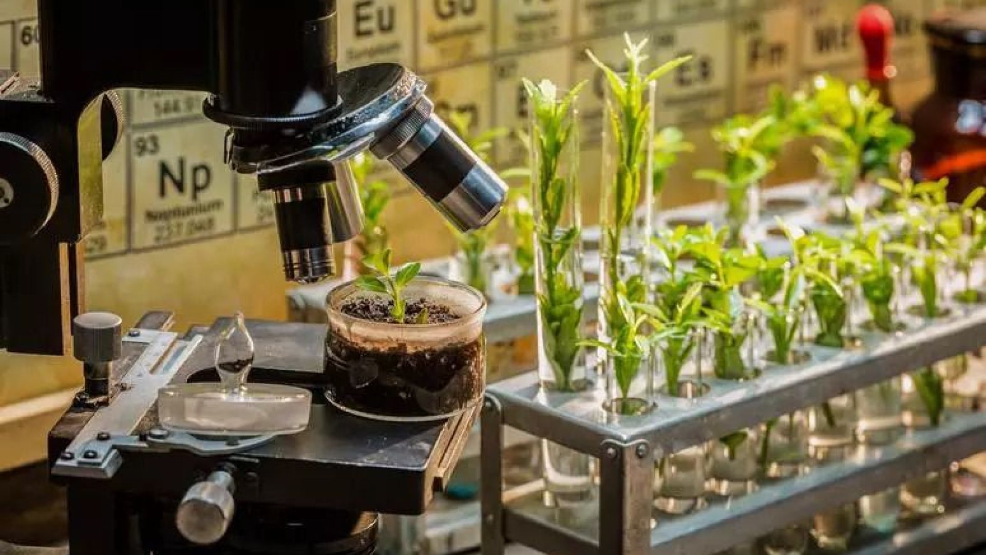 Environmental research | GETTY IMAGES