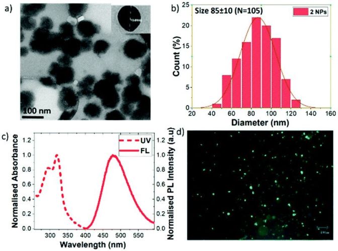o-Carborane-based fluorophores as efficient luminescent systems both as solids and as water-dispersible nanoparticles