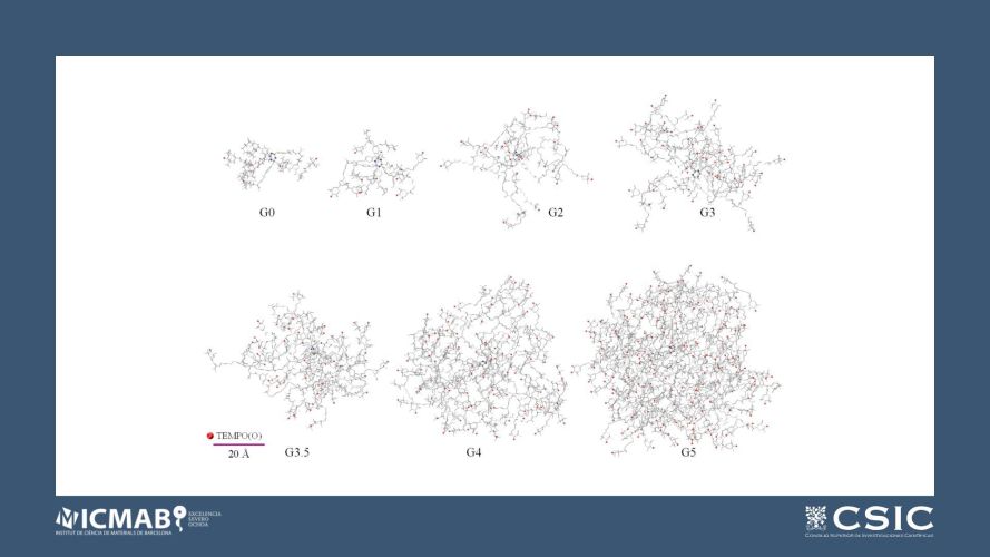 Synthesis and Relaxivity study of amino acid-branched radical dendrimers as MRI contrast agents for potential brain tumor imaging