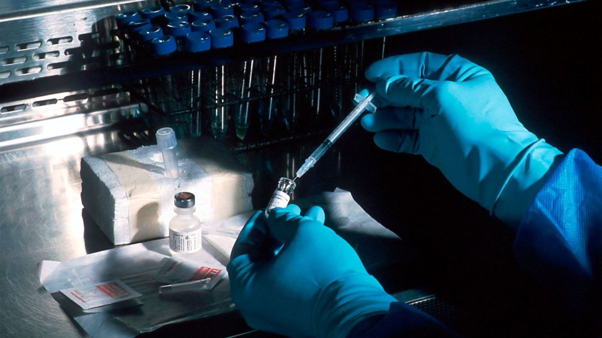 Hands of a scientist, under a sterile hood, preparing a vaccine  / National Cancer Institute