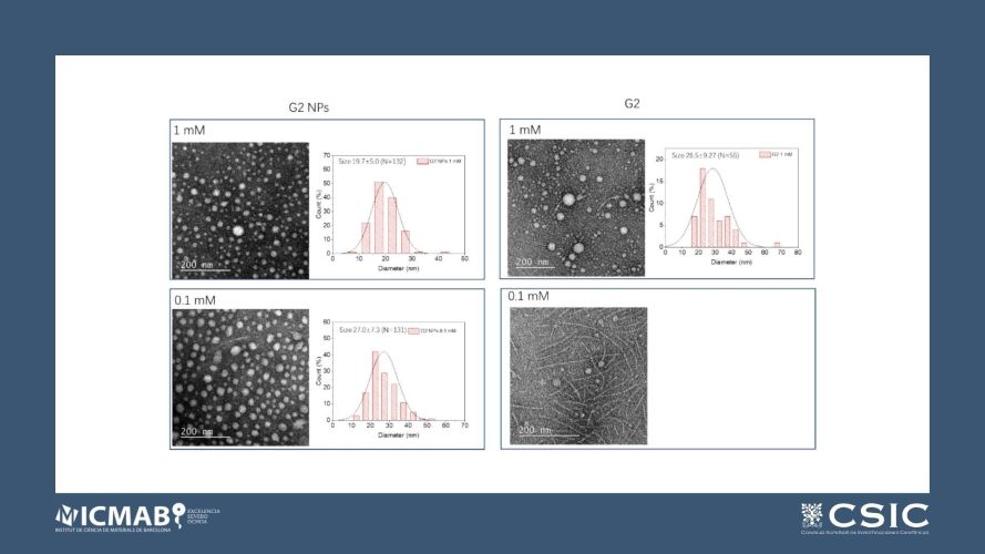 TEMPO radical-functionalized amphiphilic dendritic structures as metal-free MRI contrast agents from fibers to nanoparticles
