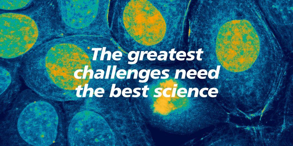 caixa challenge