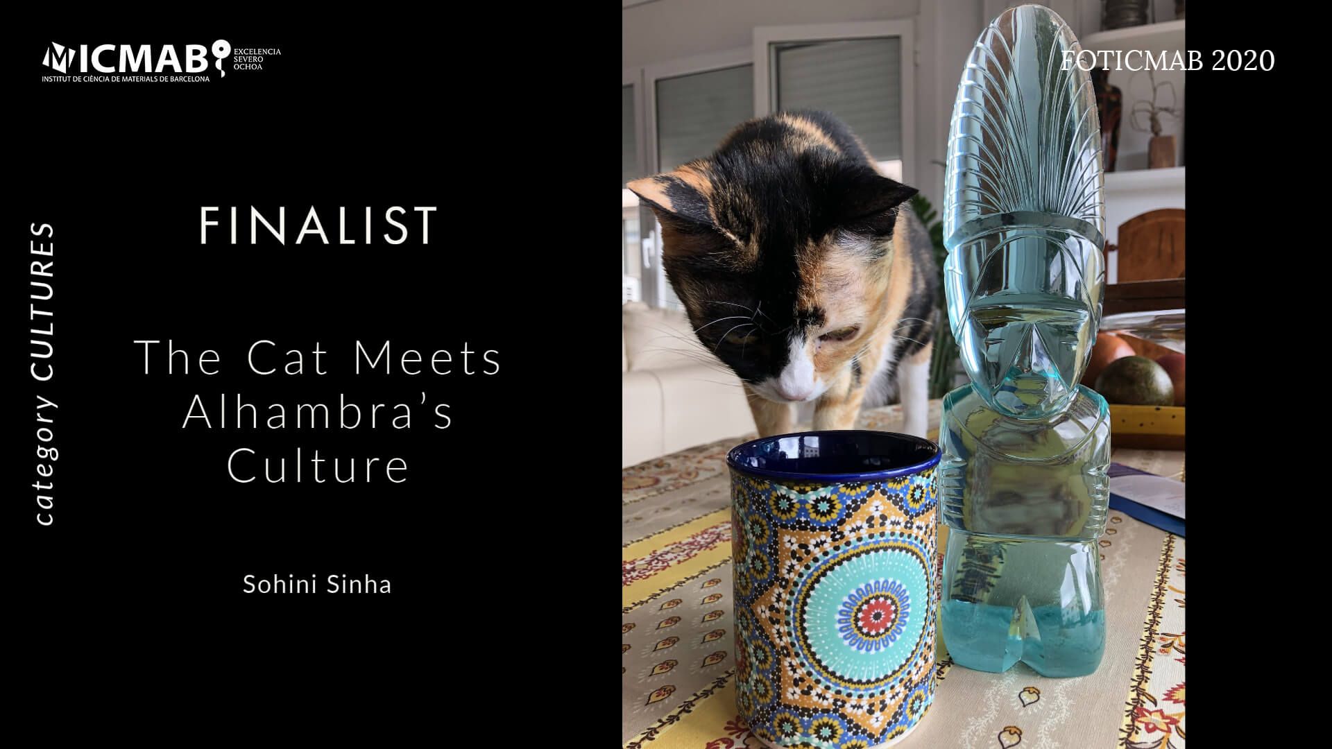 culturesF1