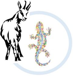 Logo from header