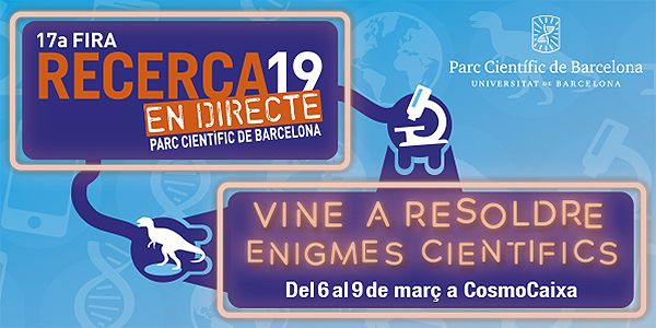 banner fira 2019 600x300px