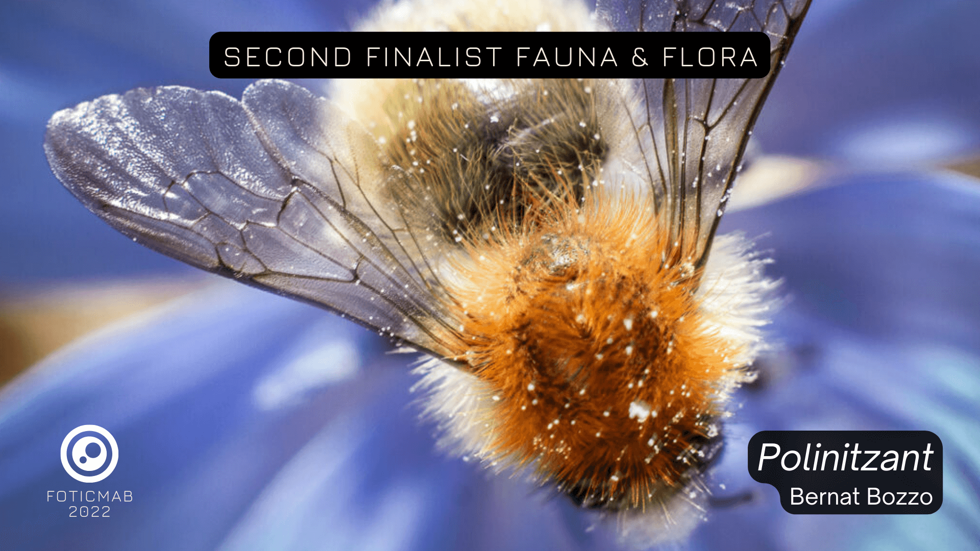 FAUNA 3