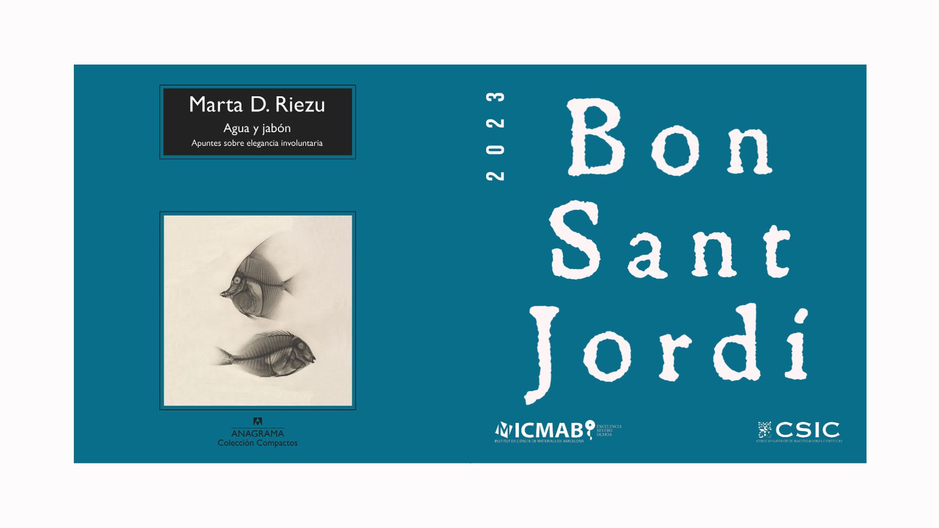 SANT JORDI 2023 12