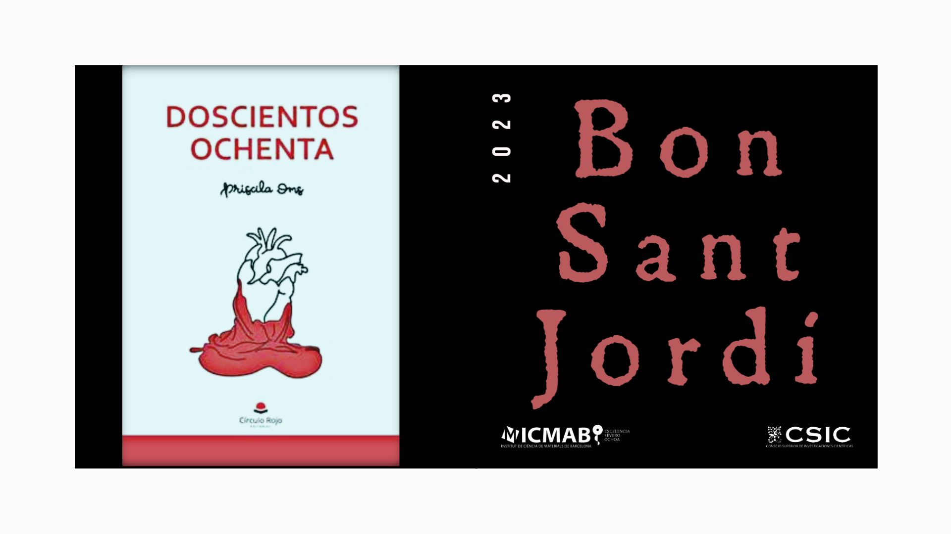 SANT JORDI 2023 18