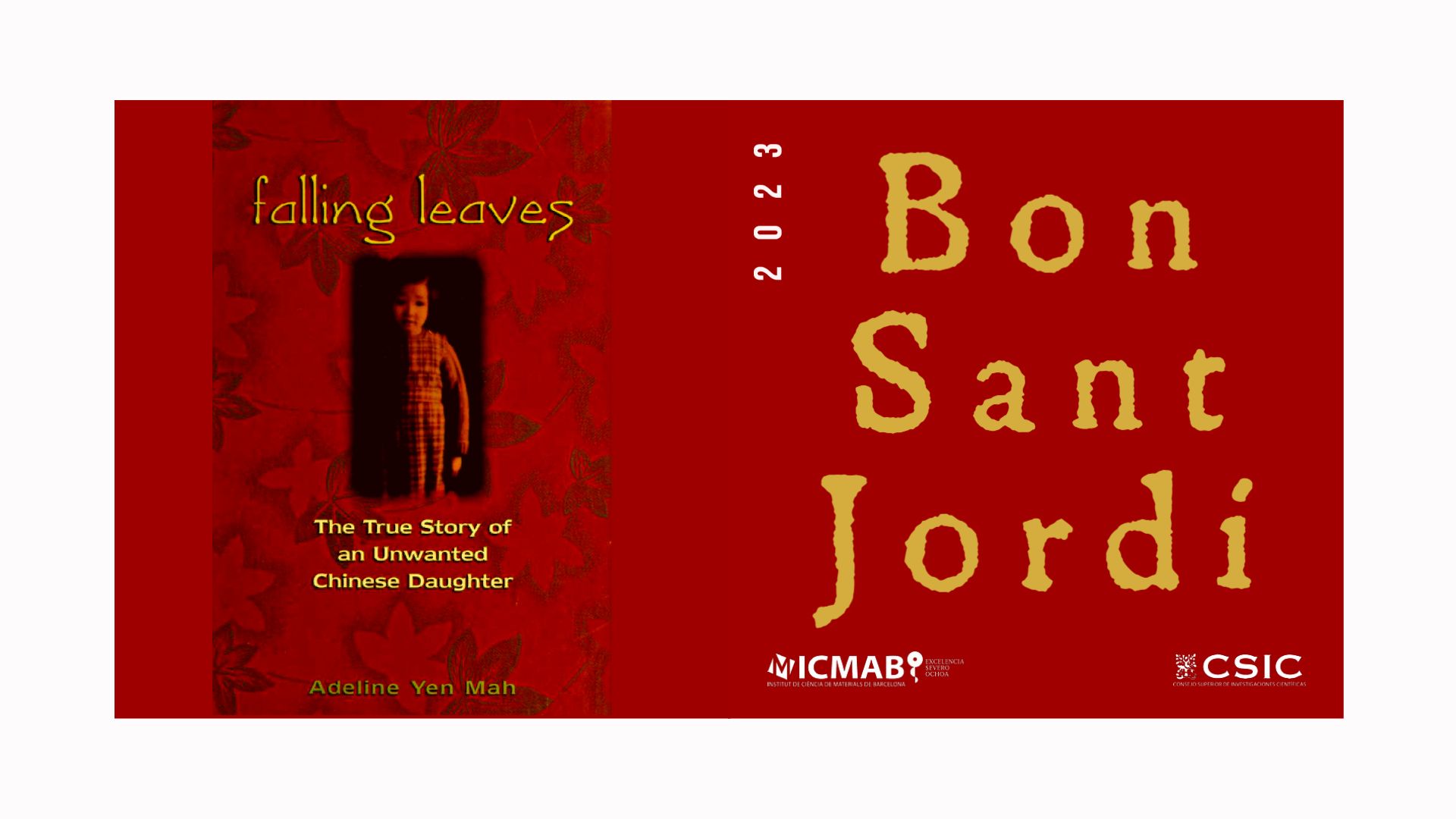 SANT JORDI 2023 19