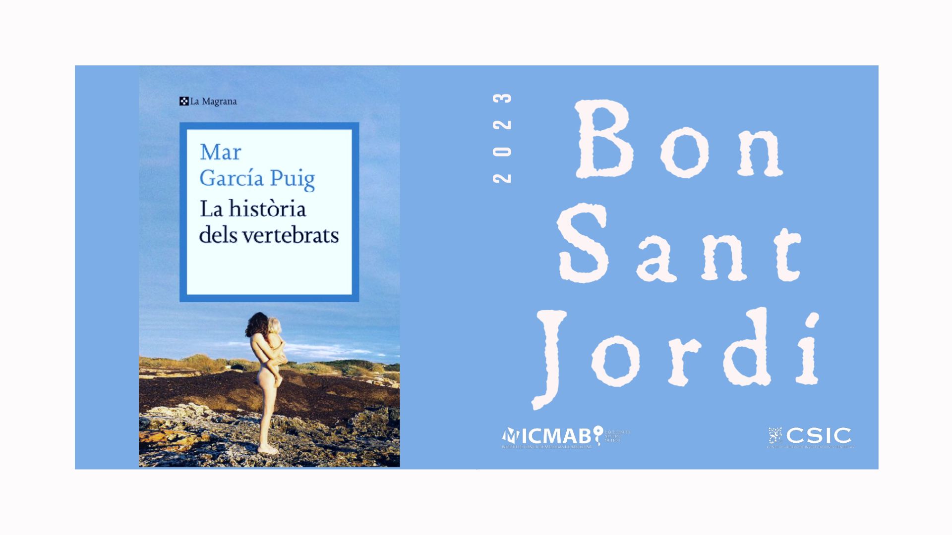 SANT JORDI 2023 22
