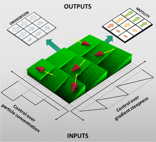 High-Throughput Cell Motility Studies on Surface-Bound Protein Nanoparticles with Diverse Structural and Compositional Characteristics