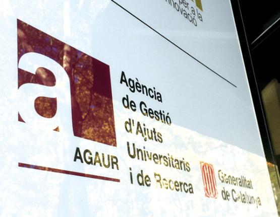 agaur beatriu