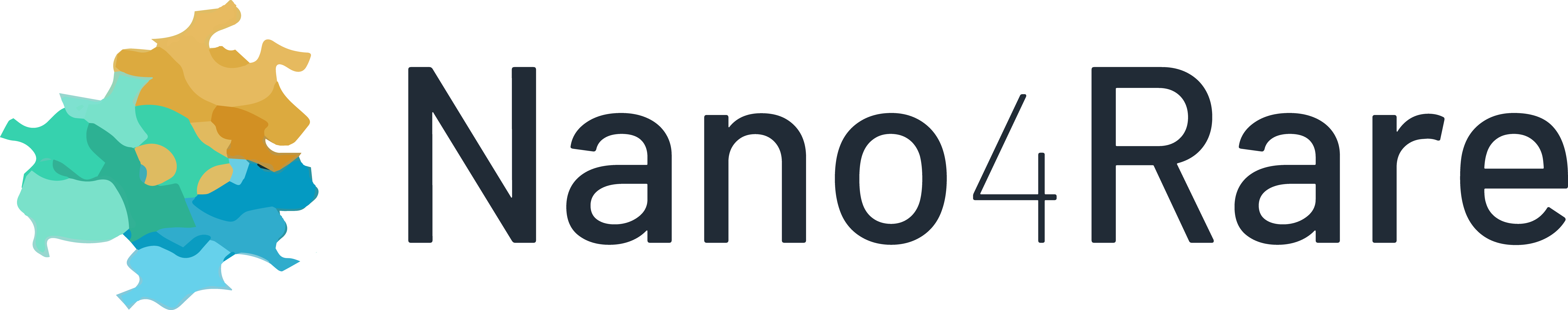 LOGO NANO4RARE