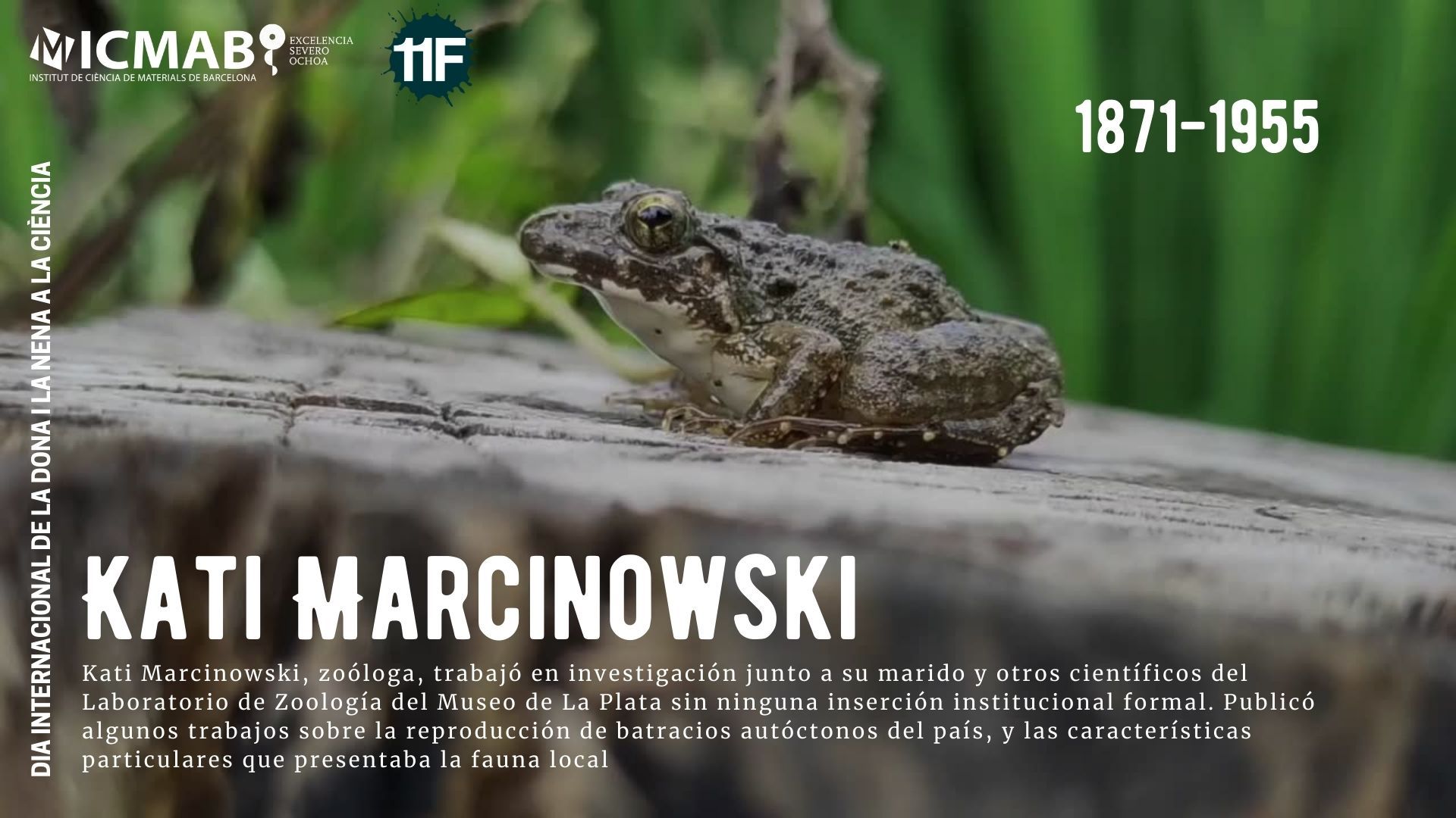 1871 marcinowski