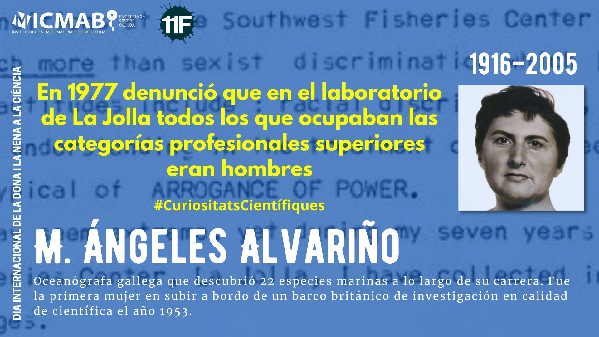 1916 alvarino