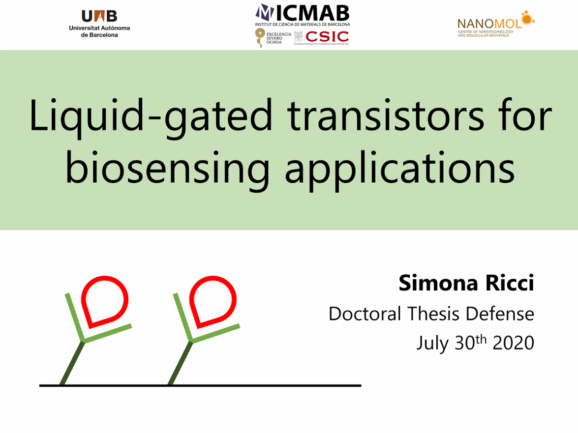 cover simona thesis slide