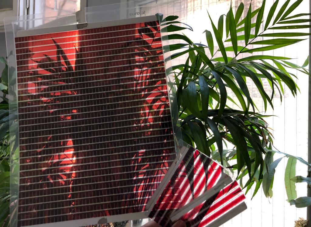 solar modules Rana Adel