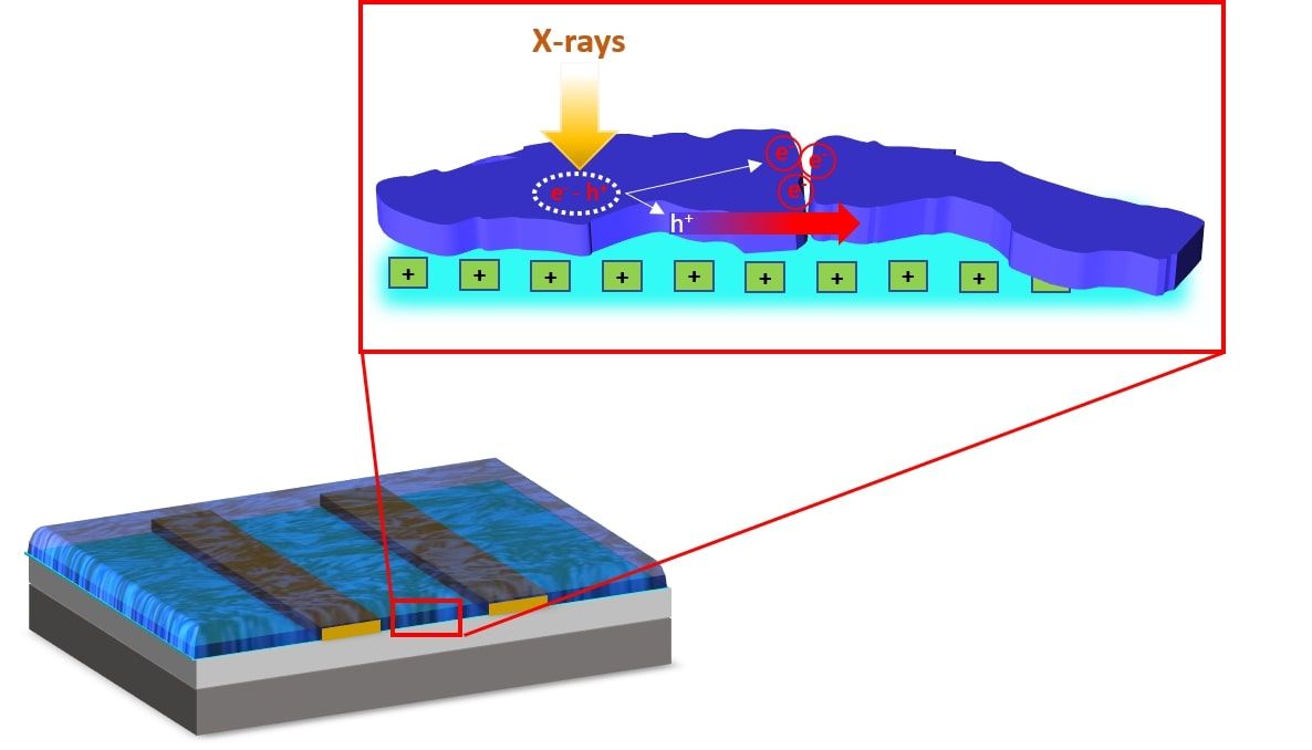 image x ray sensitive organic