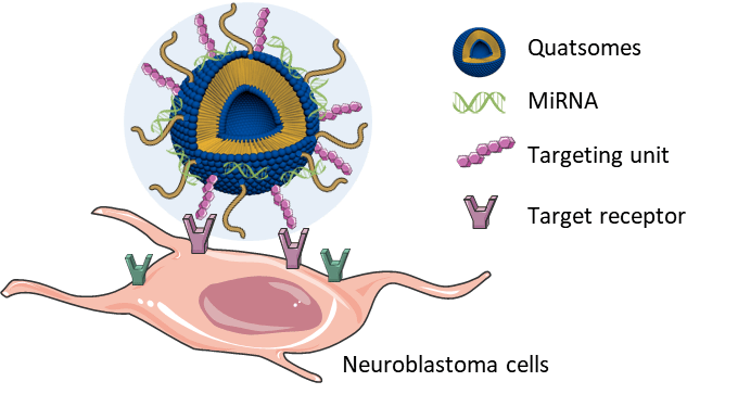 graph quatsome mirna