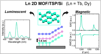 mofs 2d bartolome elena