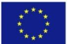 flag eu