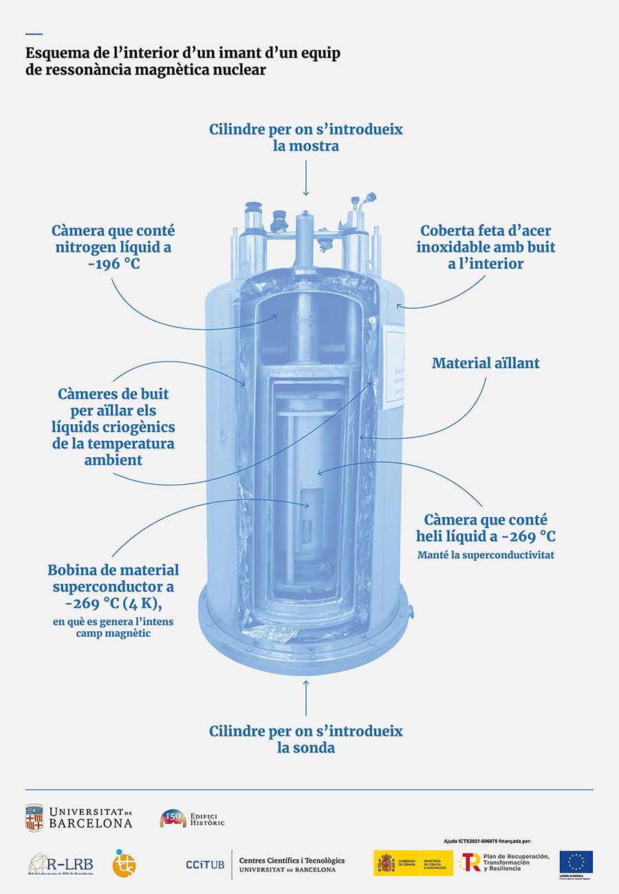 202303 infografiacatala