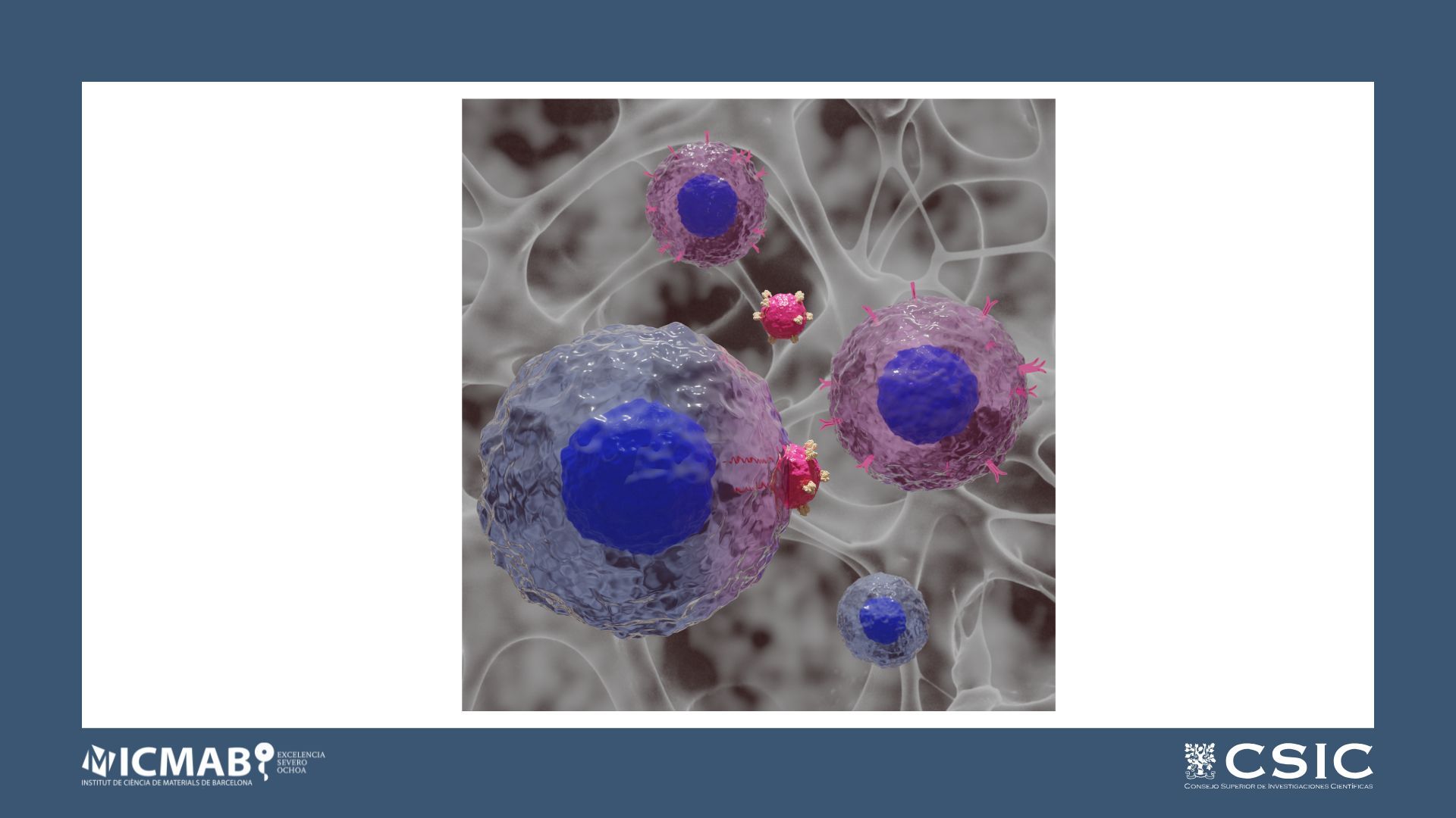 Lymph-Node Inspired Hydrogels Enhance CAR Expression and Proliferation of CAR T Cells