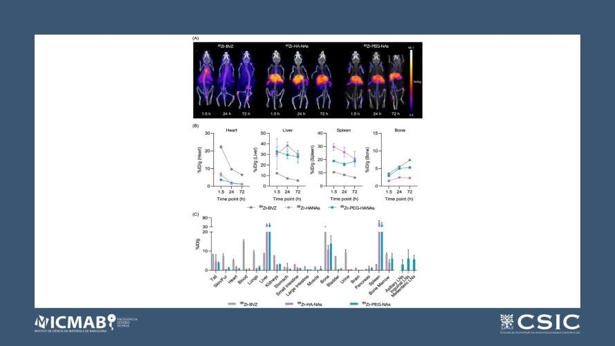 Biodistribution of 89Zr-Radiolabeled Nanoassemblies for Monoclonal Antibody Delivery Revealed through In Vivo PET Imaging