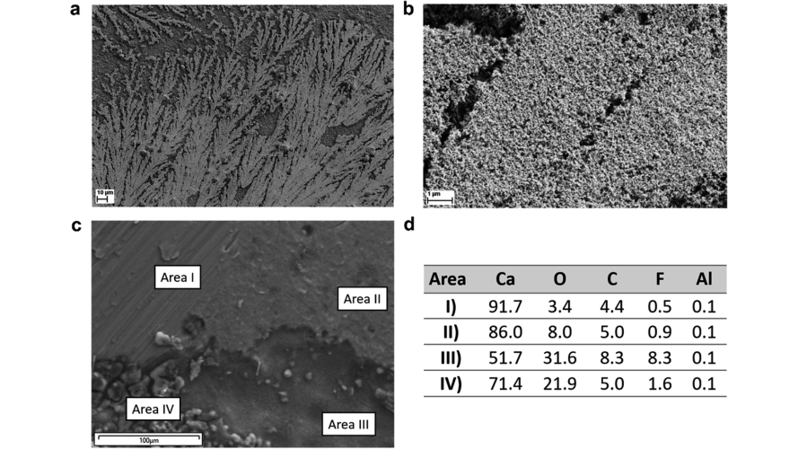 A novel calcium fluorinated alkoxyaluminate salt as a next step towards Ca metal anode rechargeable batteries