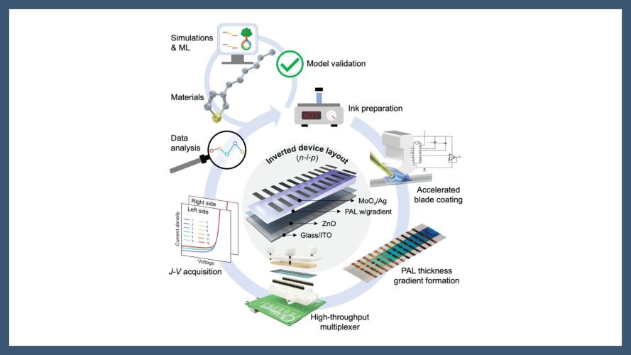 What Makes Thickness-Tolerant Organic Solar Cells?