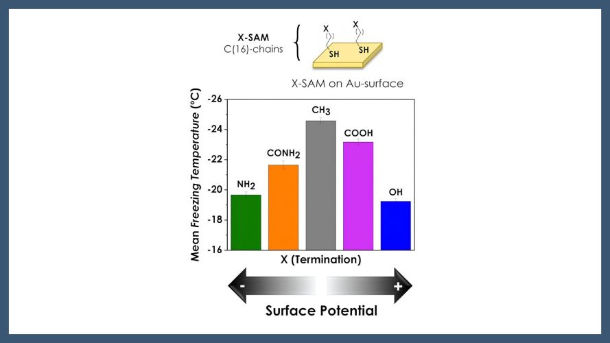 Interfacial electrostatic properties and ice nucleation efficiency on functionalized gold surfaces