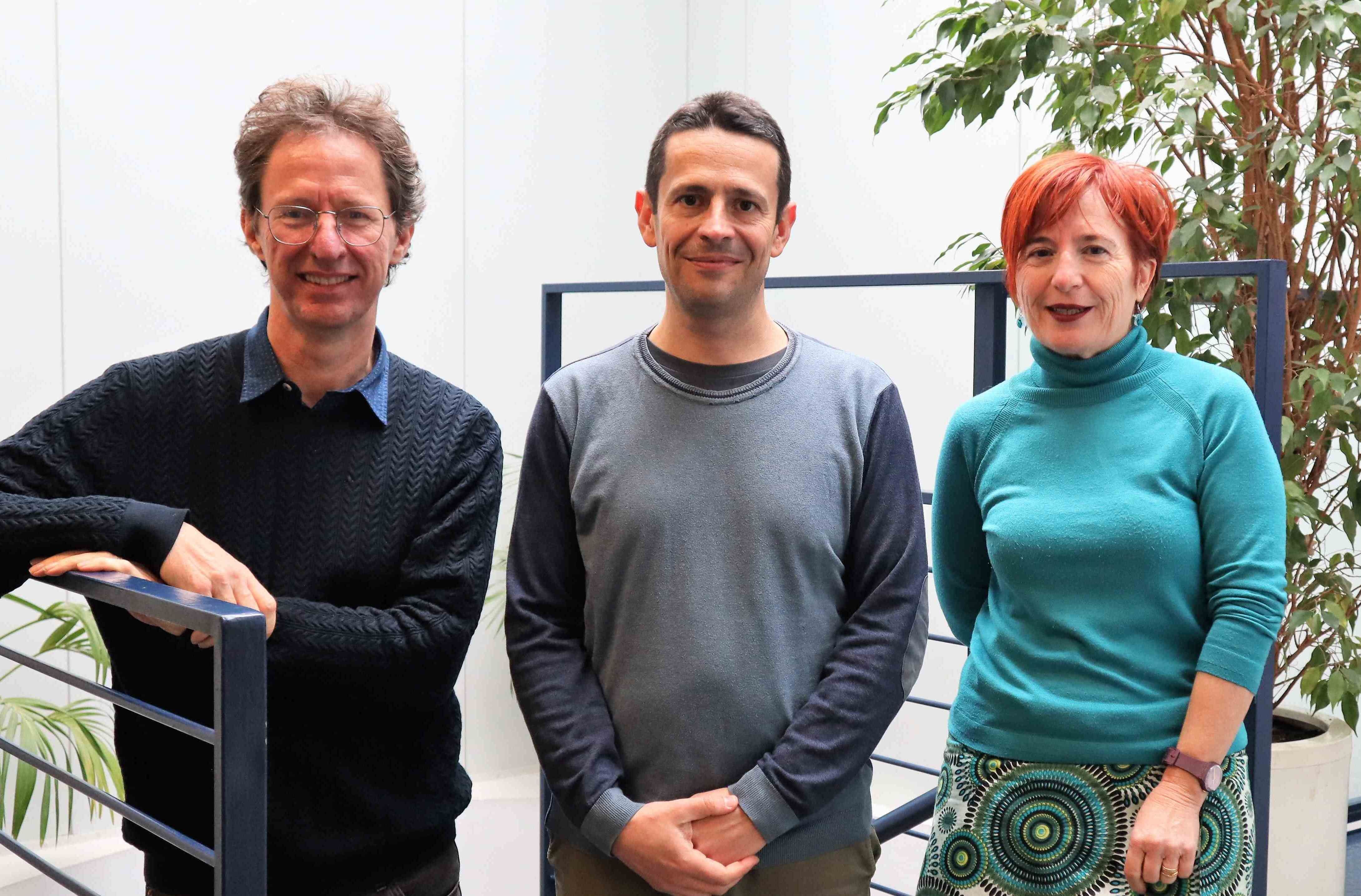 New Direction team at ICMAB: Director David Amabilino, and Deputy Directors Martí Gich and Lourdes Fábrega | ICMAB, CSIC