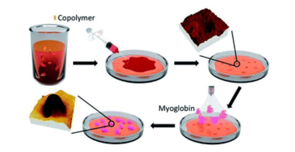 Functionalization of polyacrylamide for nanotrapping positively charged biomolecules