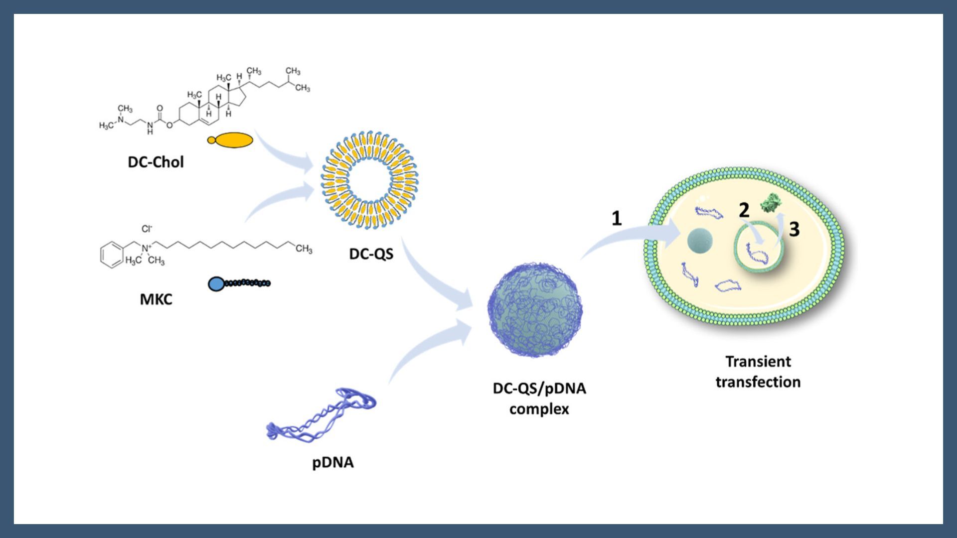 Plasmid DNA Delivery Using a Stable Nanovesicle Platform: A Design-of-Experiments-Guided Investigation