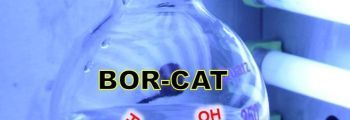 Photocatalytic oxidation of benzene to produce phenol