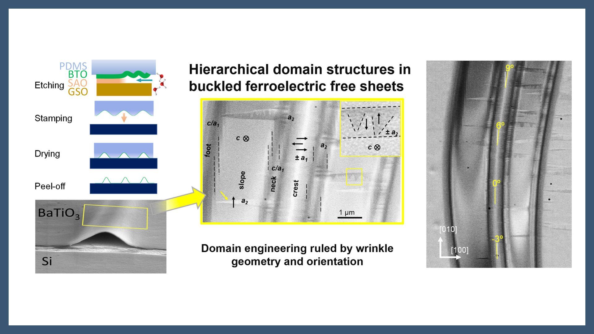 Hierarchical domain structures in buckled ferroelectric free sheets