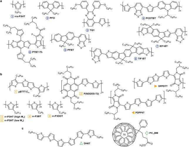 On The Thermal Conductivity of Conjugated Polymers for Thermoelectrics
