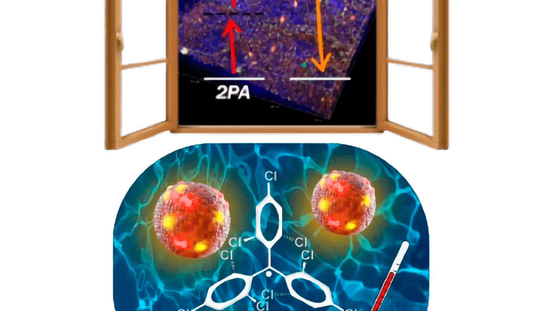 Nanothermometer Based on Polychlorinated Trityl Radicals Showing Two-Photon Excitation and Emission in the Biological Transparency Window: Temperature Monitoring of Biological Tissues
