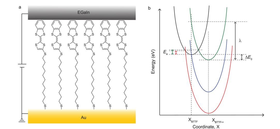 Bias-Polarity-Dependent Direct and Inverted Marcus Charge Transport Affecting Rectification in a Redox-Active Molecular Junction