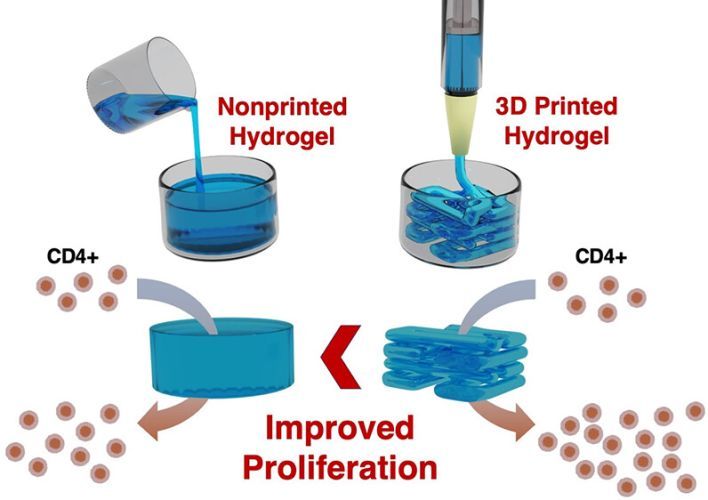 3D Printing as a Strategy to Scale-Up Biohybrid Hydrogels for T Cell Manufacture