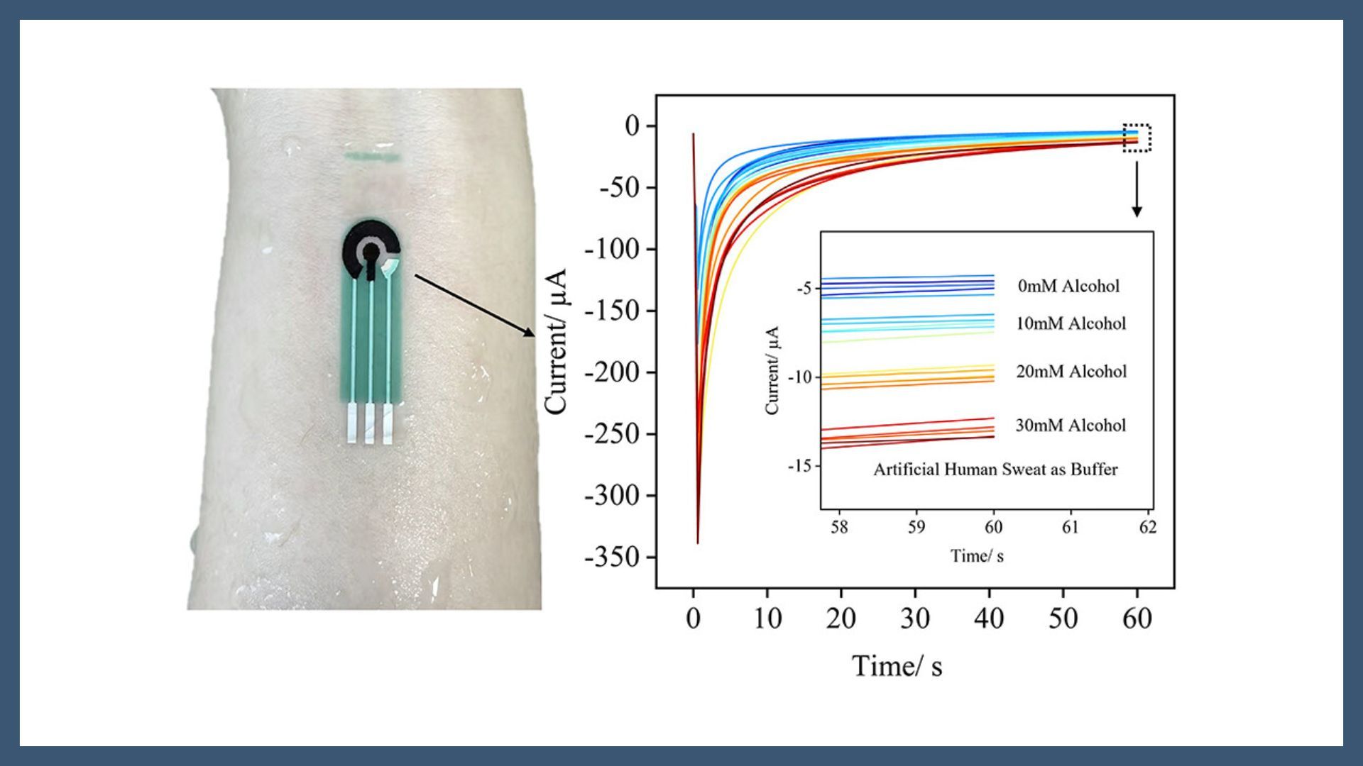 Eco-Friendly Conformal and Self-Adhesive Electrochemical Sensors for Sweat Monitoring