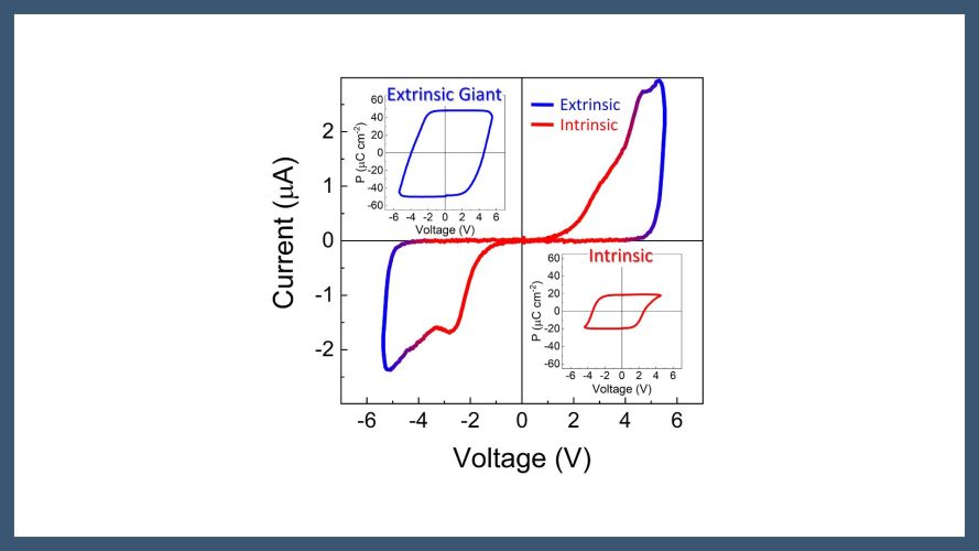 Intrinsic Ferroelectric Polarization in Doped HfO2 and ZrO2