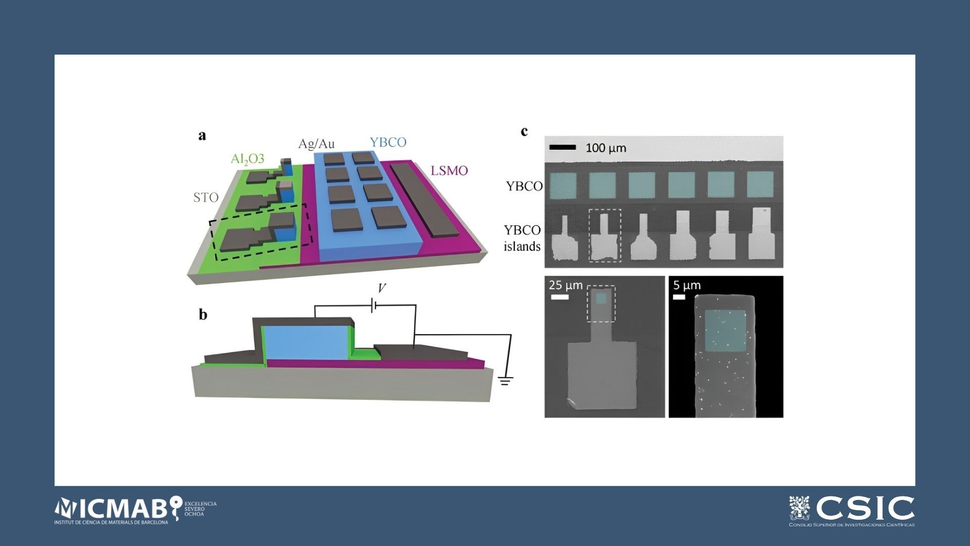 Field-Induced Phase Transitions in Cuprate Superconductors for Cryogenic in-Memory Computing