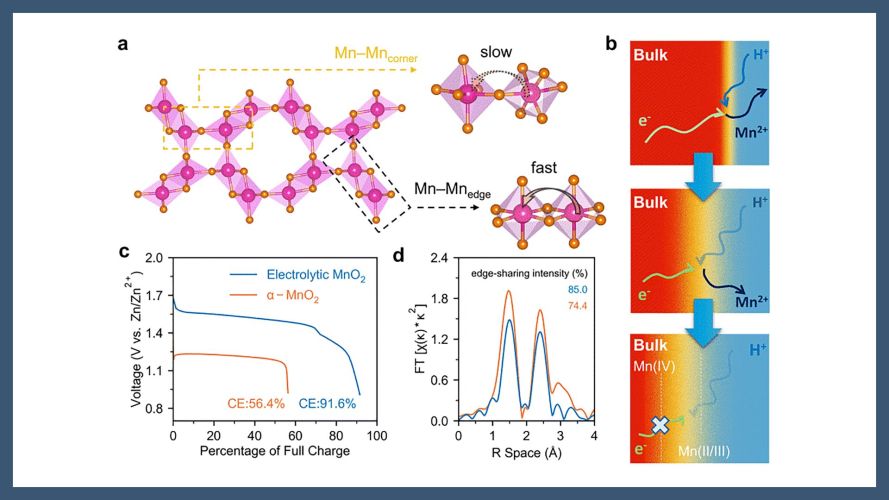 Unveiling capacity limitations of MnO2 in rechargeable Zn chemistry