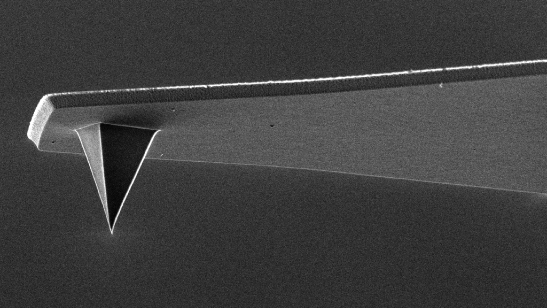 Local conductance control in h-Er(Mn,Ti)O3.