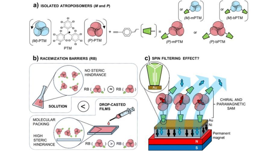 Interrogating the CISS effect in chiral and paramagnetic organic radicals: the impact of the molecular spin over the total spin polarization