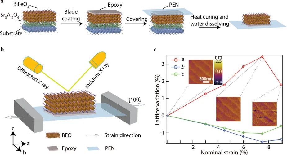 Giant Thermal Transport Tuning at a Metal / Ferroelectric Interface
